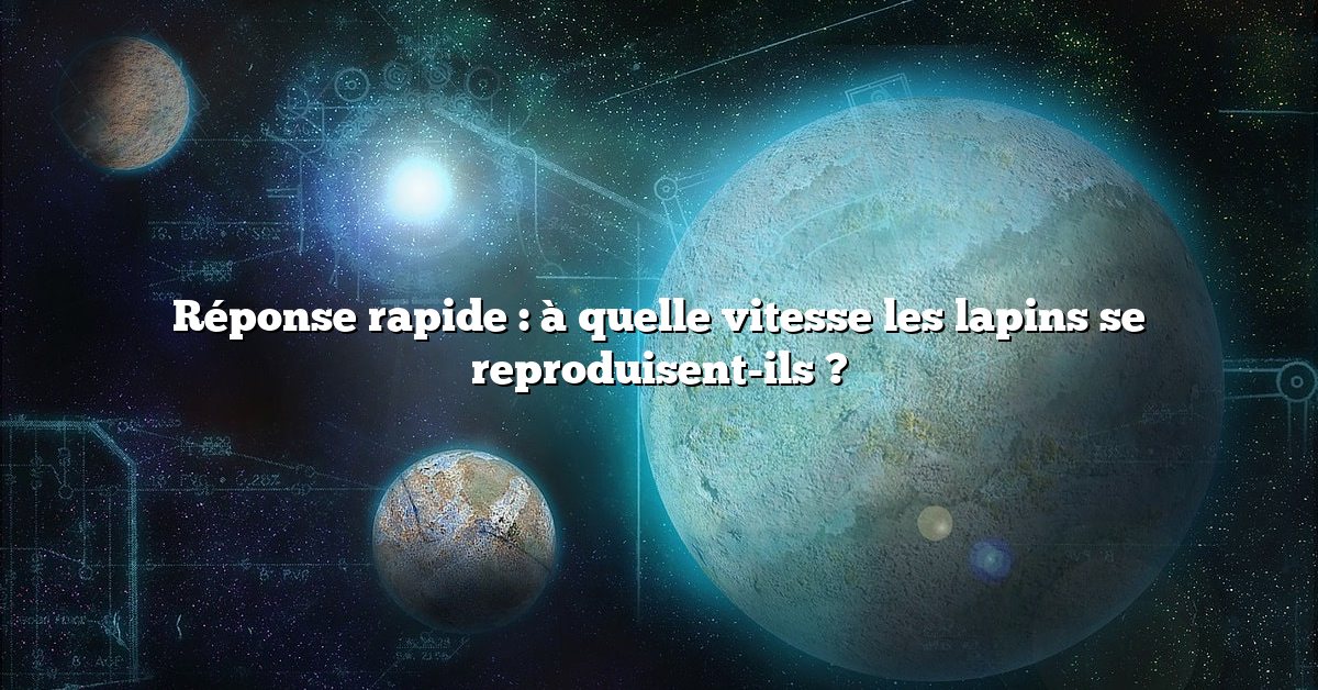 Réponse rapide : à quelle vitesse les lapins se reproduisent-ils ?